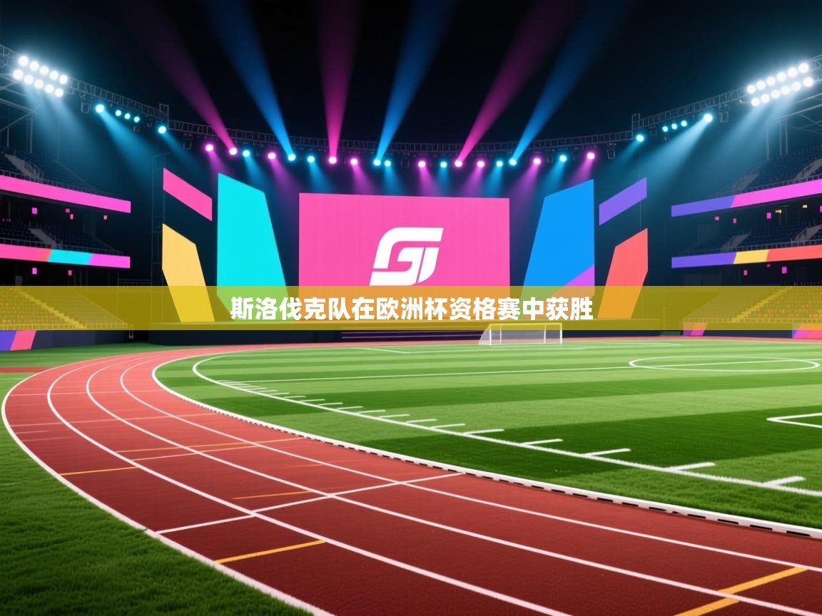 斯洛伐克队在欧洲杯资格赛中获胜 第2张