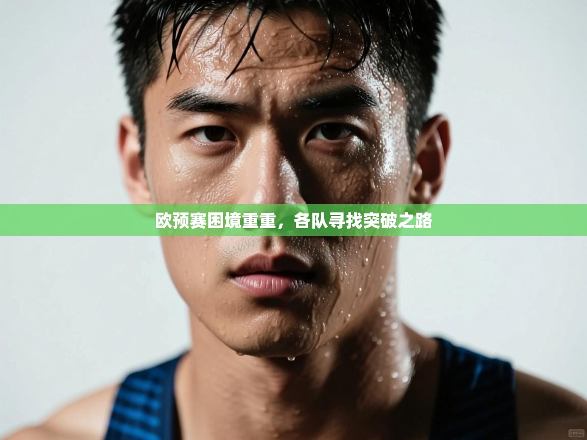 欧预赛困境重重,各队寻找突破之路 第2张