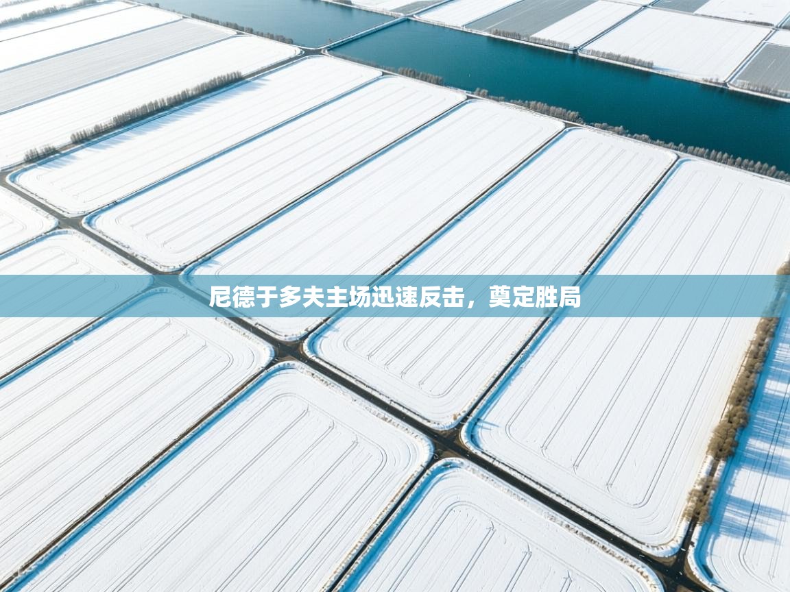 尼德于多夫主场迅速反击,奠定胜局 第2张