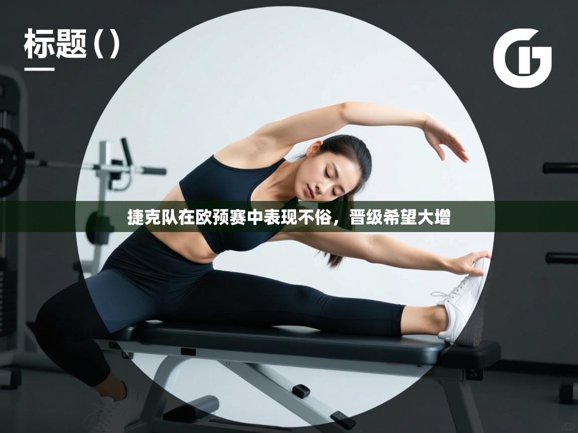 捷克队在欧预赛中表现不俗，晋级希望大增  第2张