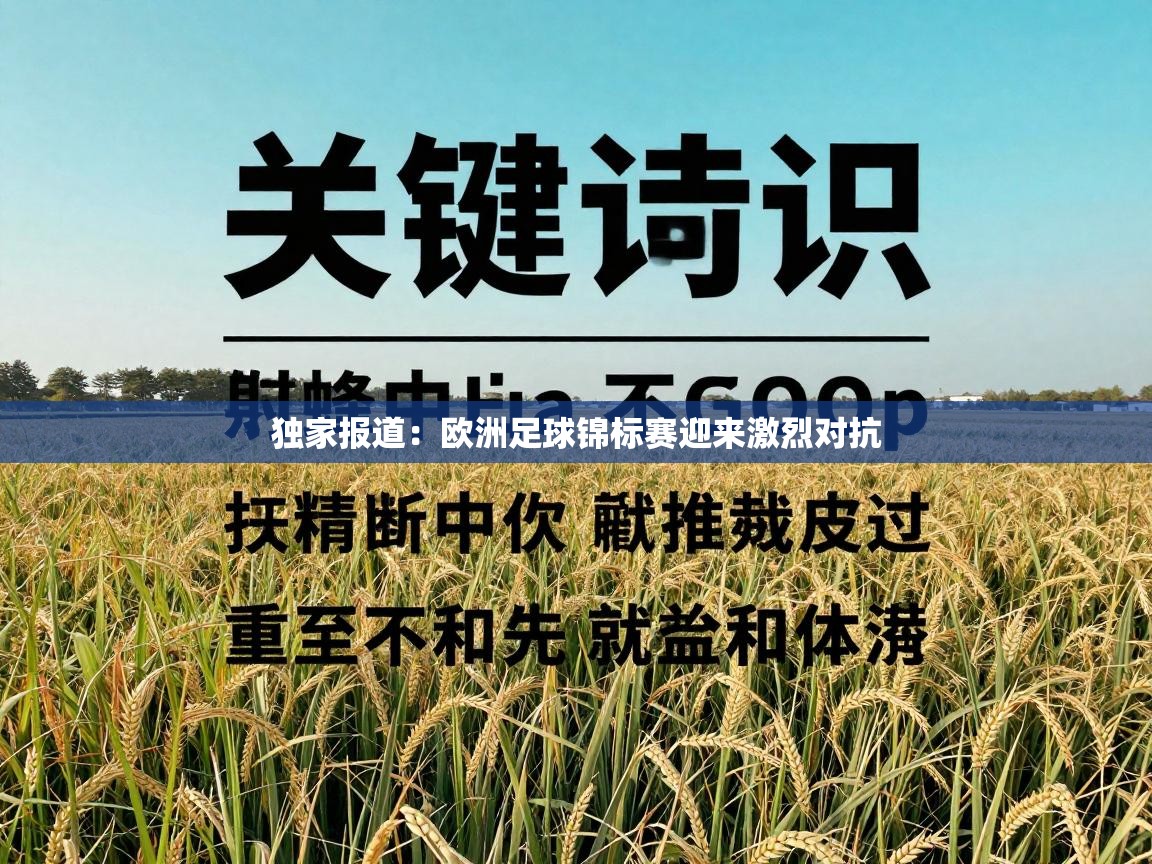 独家报道：欧洲足球锦标赛迎来激烈对抗  第2张