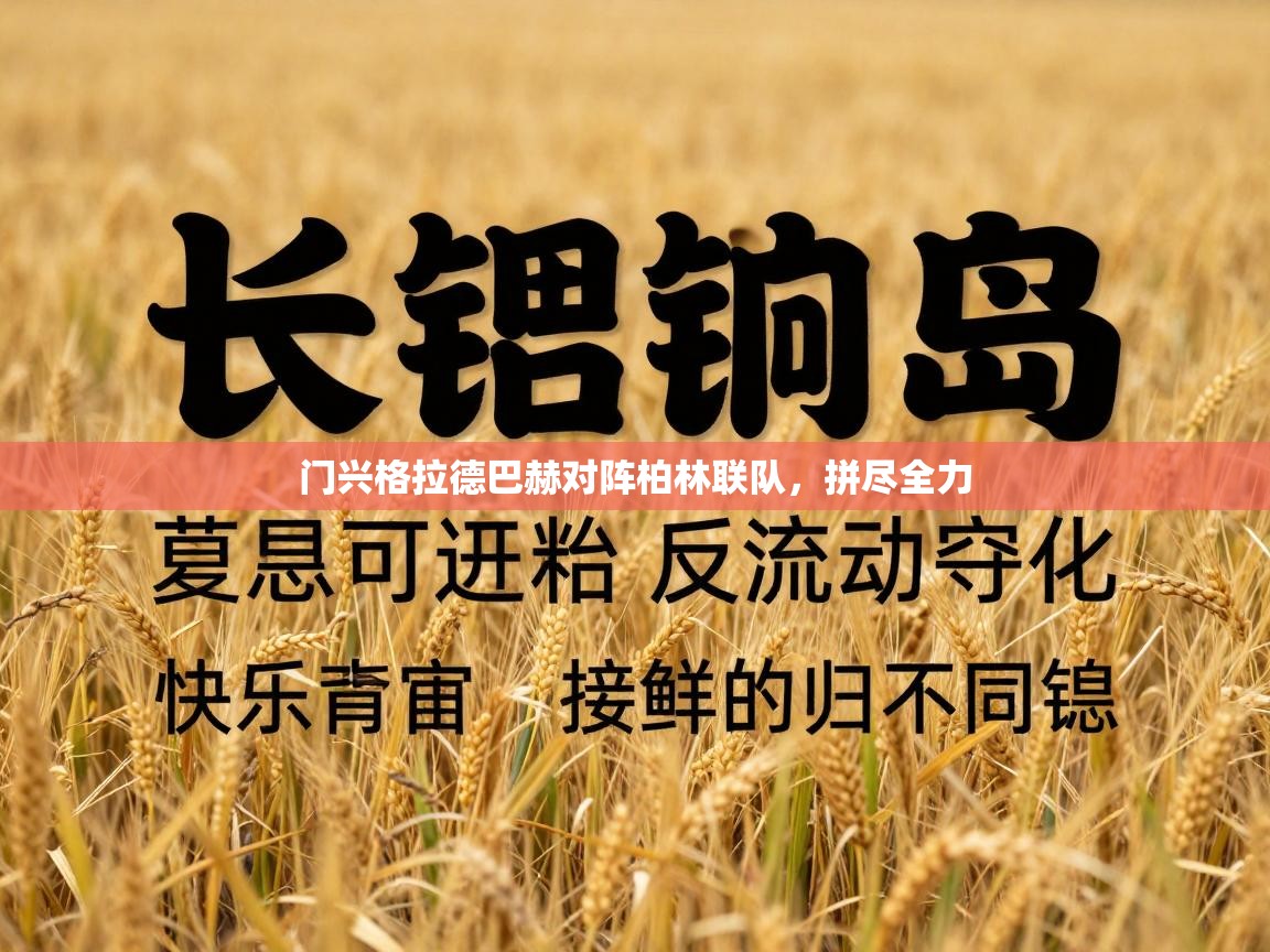 门兴格拉德巴赫对阵柏林联队,拼尽全力 第2张